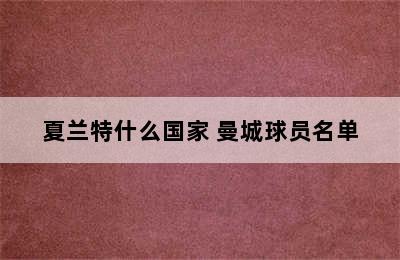 夏兰特什么国家 曼城球员名单